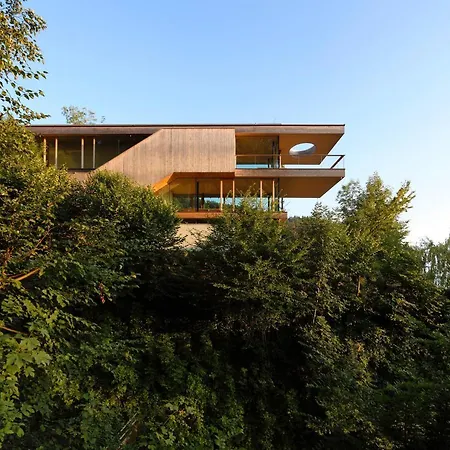 Haus Am Felsen, Ferien In Vorarlberger Architektur アパート ブレゲンツ