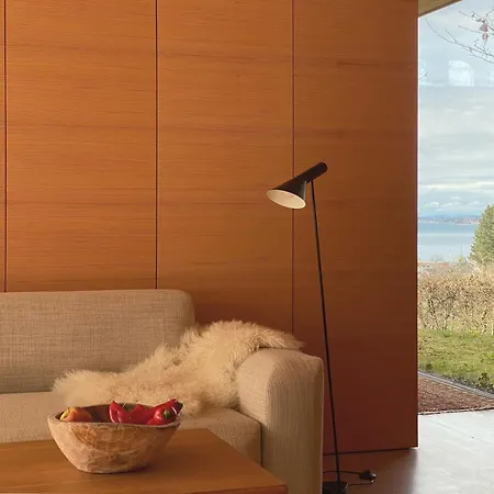 Haus Am Felsen, Ferien In Vorarlberger Architektur * Bregenz