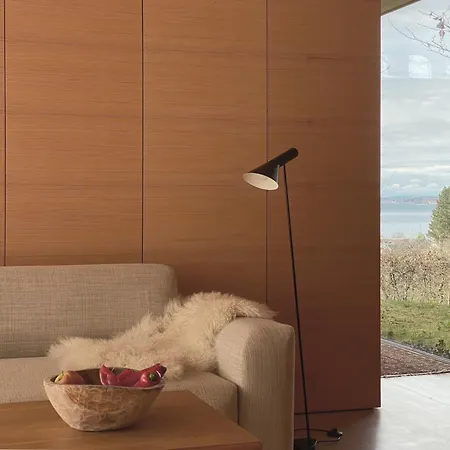 Haus Am Felsen, Ferien In Vorarlberger Architektur